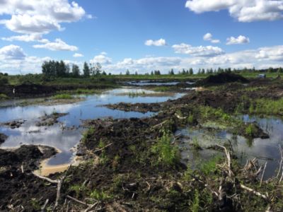 Купить торф Кубинка